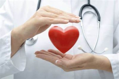 Tác Dụng Của Đông Trùng Hạ Thảo Đối với sức khoẻ